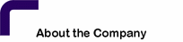 About The Company
