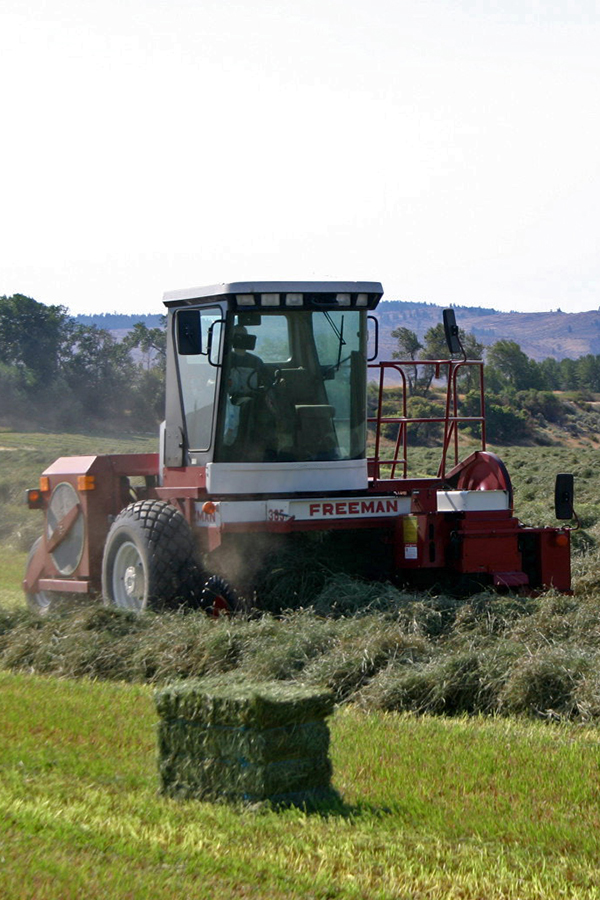 Freeman SelfPropelled Sidefeed Balers