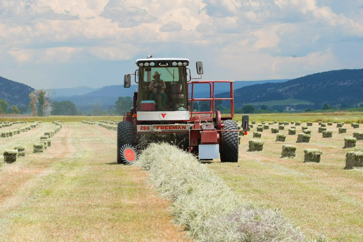Freeman Self-propelled Baler