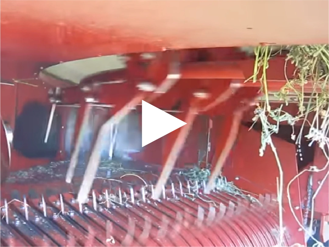 feed house in action thumbnail - Feed house in Action video