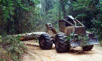 F68C coming out of the forest.