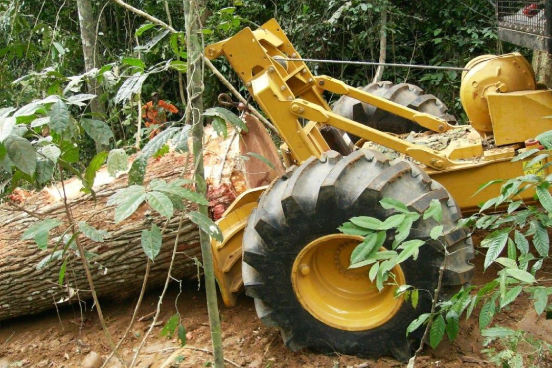 skidder